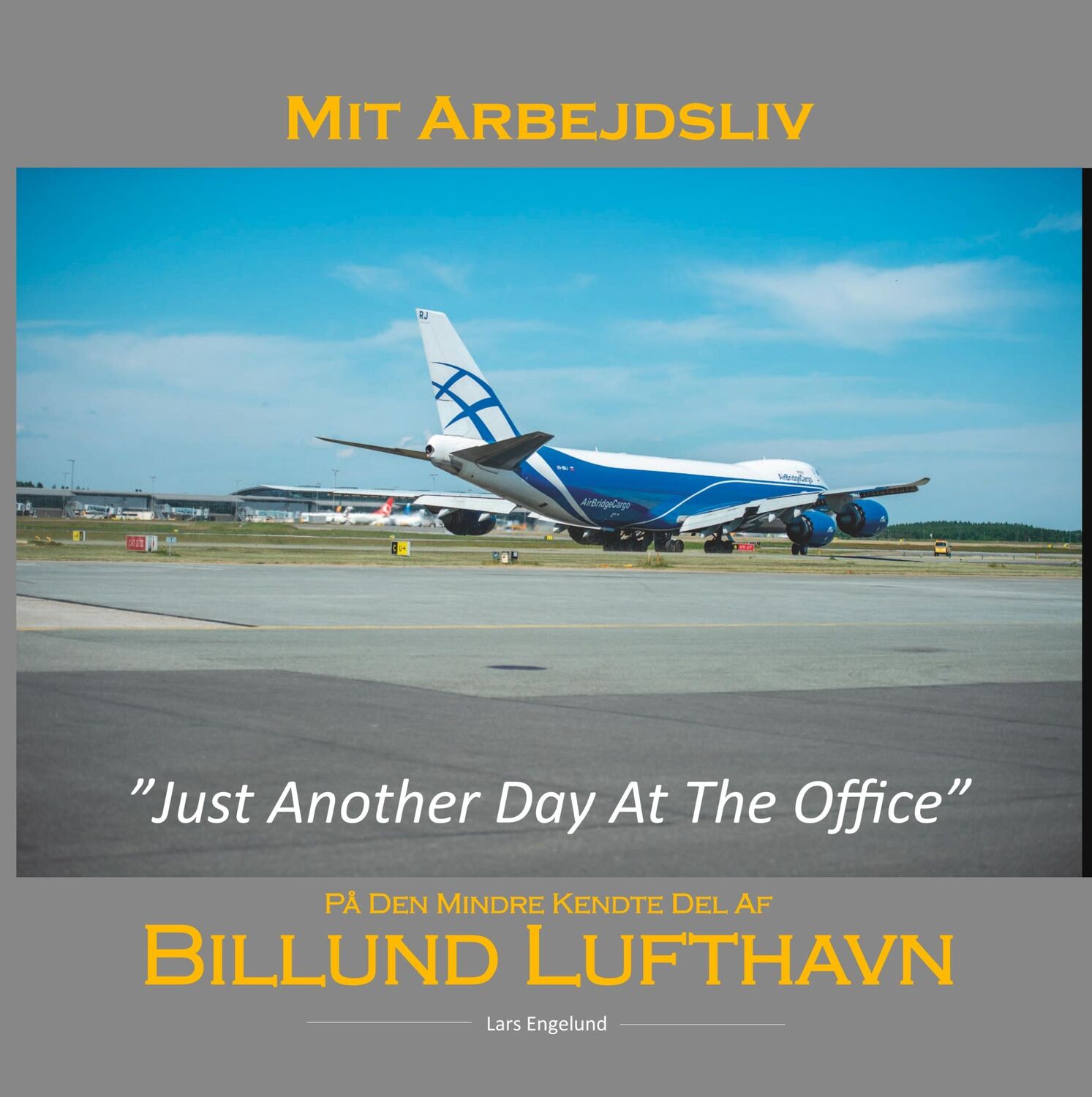 Cover: 9788743010203 | Mit arbejdsliv i Billund Lufthavn | Just Another Day At The Office