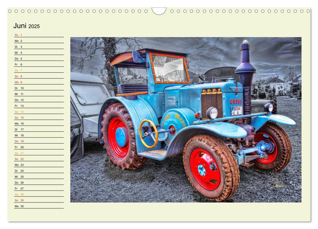 Bild: 9783435586202 | Traktoren - Oldtimer (Wandkalender 2025 DIN A3 quer), CALVENDO...