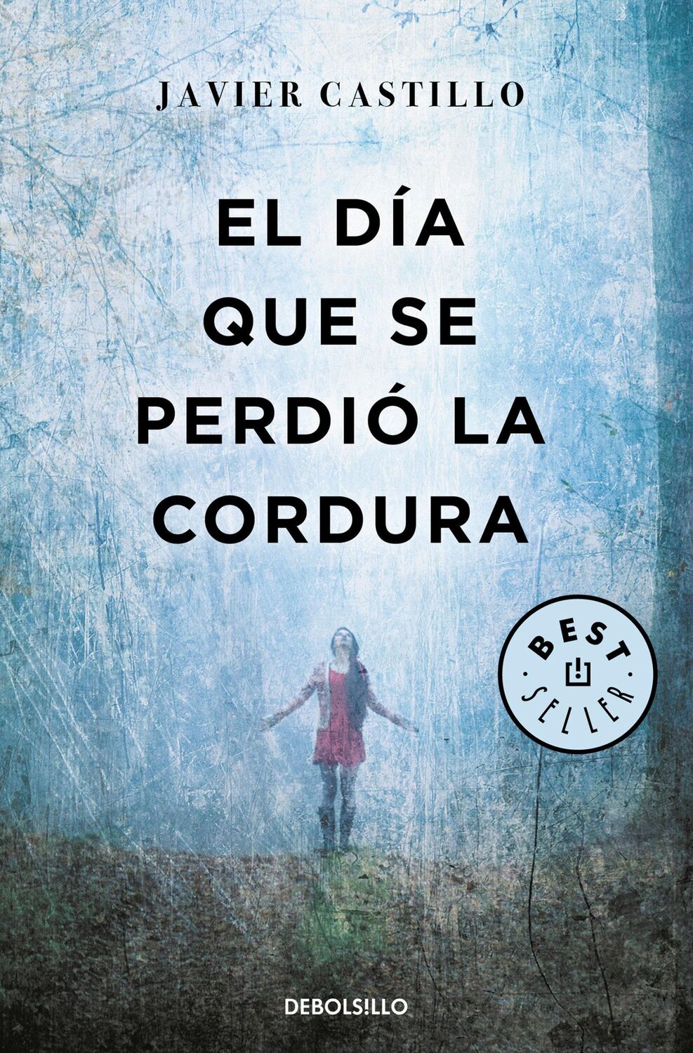 Cover: 9788466346122 | El día que se perdió la cordur | Javier Castillo | Taschenbuch | 2019