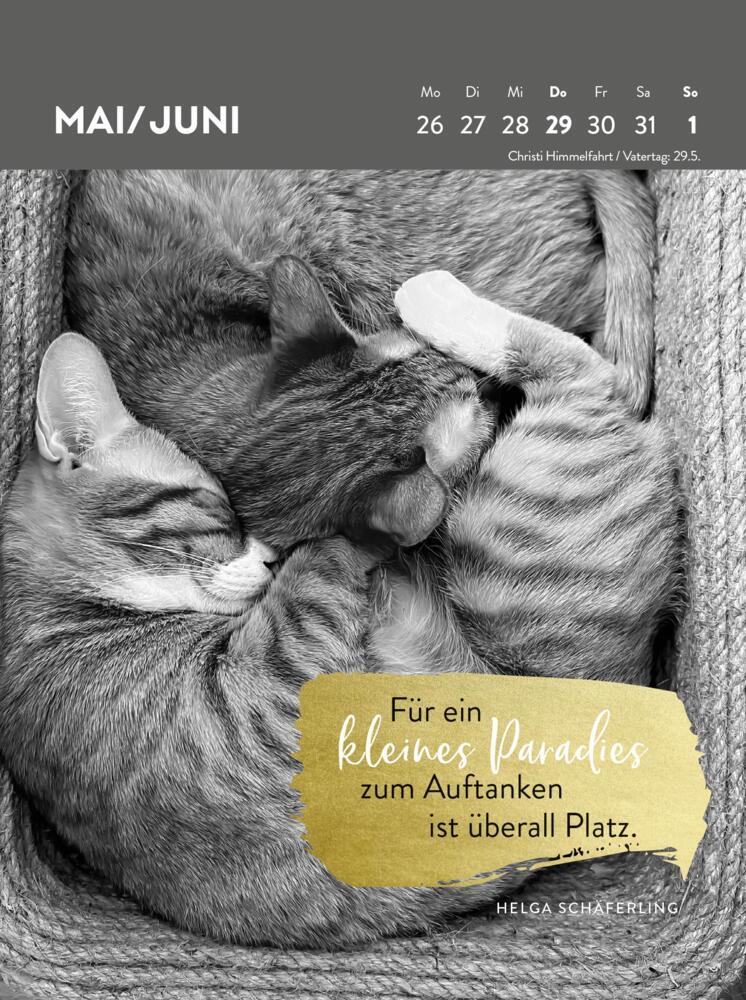 Bild: 4036442012116 | Wochenkalender 2025: Goldene Katzenweisheiten für jeden Tag | Verlag