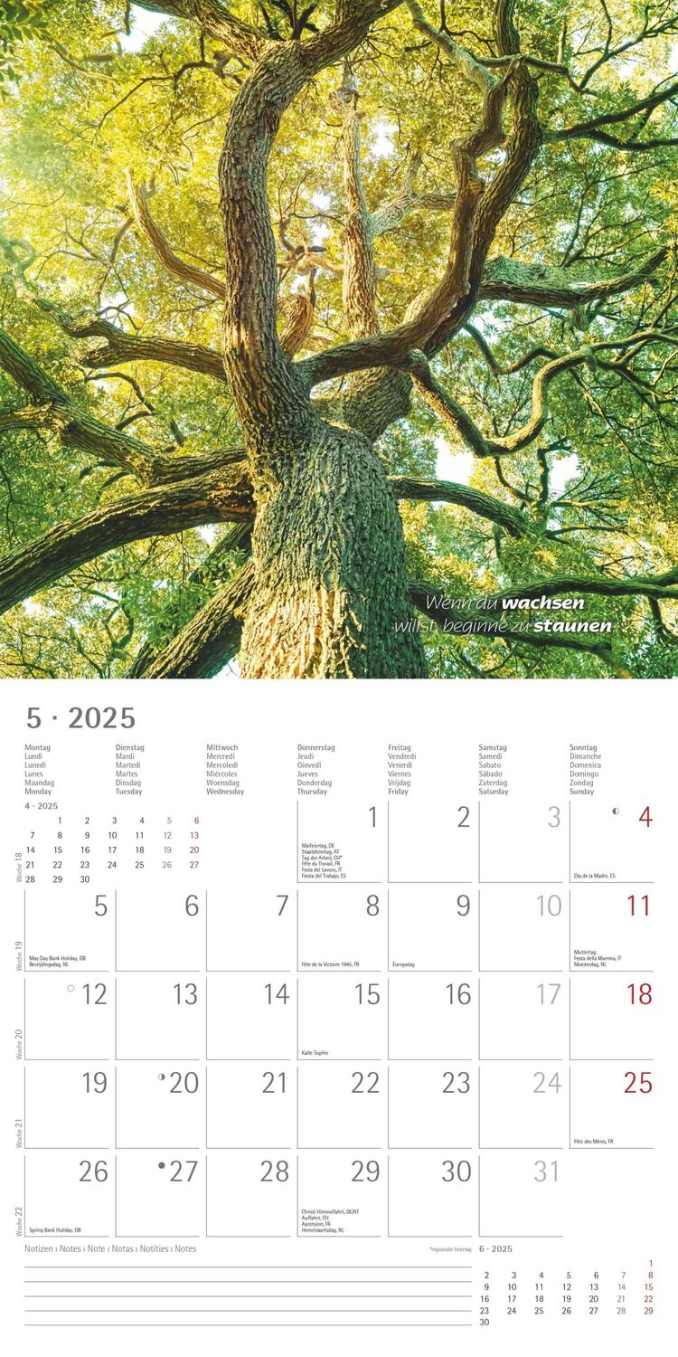 Bild: 4251732340858 | Zen 2025 - Broschürenkalender 30x30 cm (30x60 geöffnet) - Kalender...