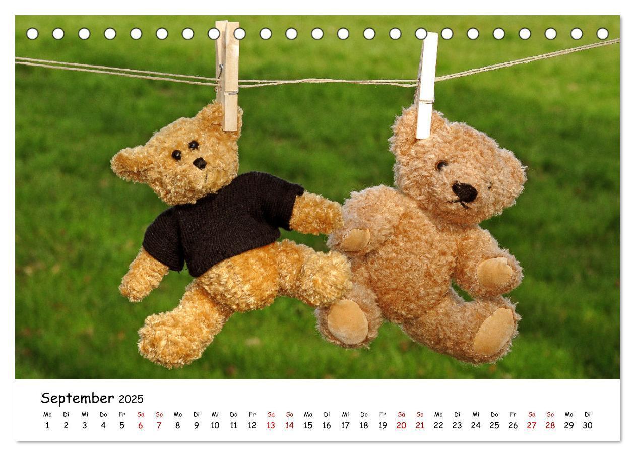 Bild: 9783383964459 | Allerliebste Teddybären (Tischkalender 2025 DIN A5 quer), CALVENDO...