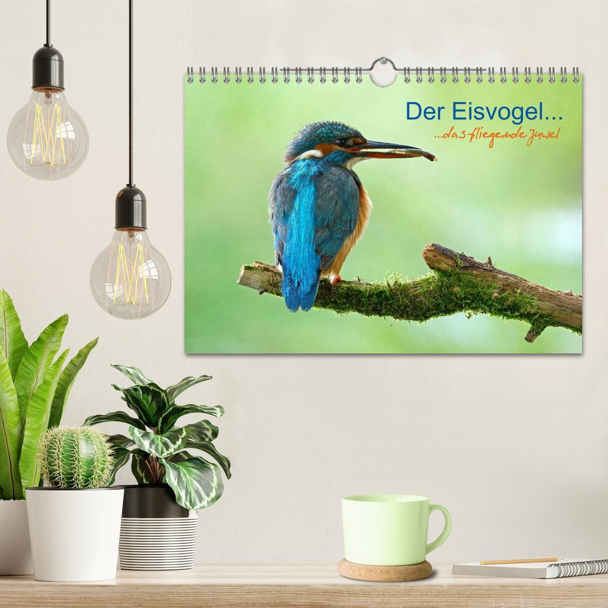 Bild: 9783435501229 | Der Eisvogel...fliegendes Juwel (Wandkalender 2025 DIN A4 quer),...