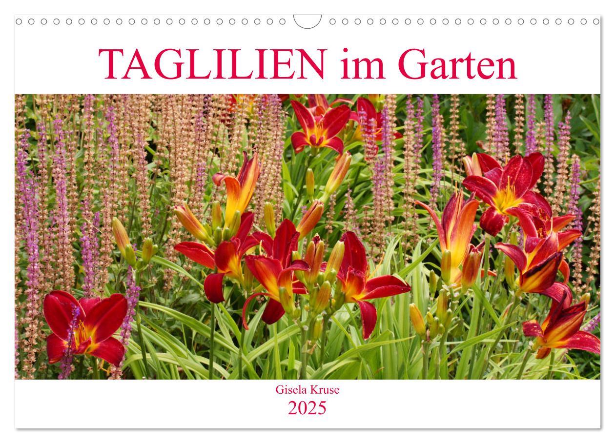 Cover: 9783435296583 | Taglilien im Garten (Wandkalender 2025 DIN A3 quer), CALVENDO...