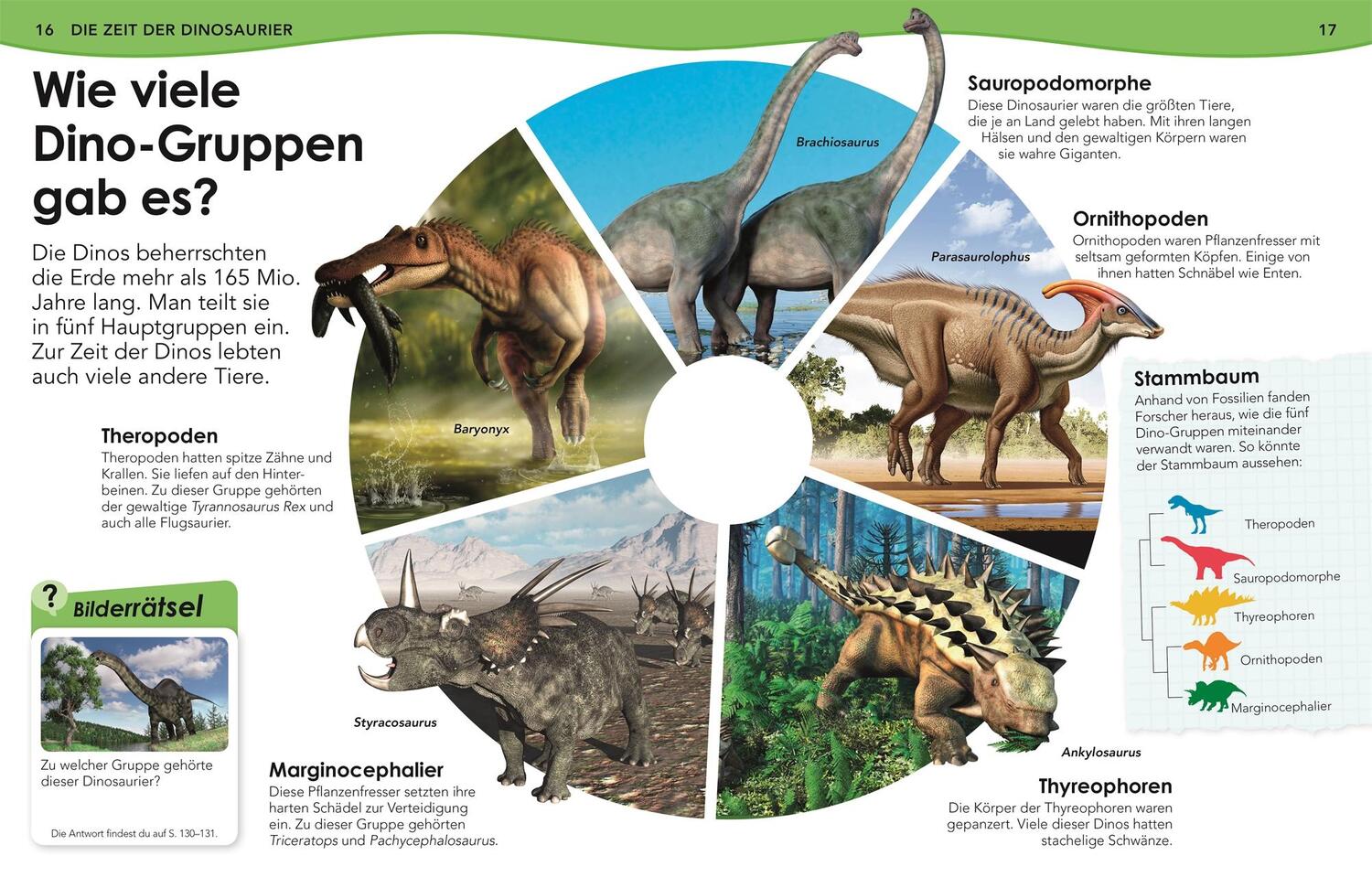 Bild: 9783831040582 | Weshalb? Deshalb! Dinos | Das Frage-und-Antwort-Lexikon | Buch | 2020