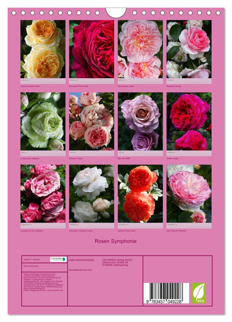 Bild: 9783457049228 | Rosen Symphonie (Wandkalender 2025 DIN A4 hoch), CALVENDO...