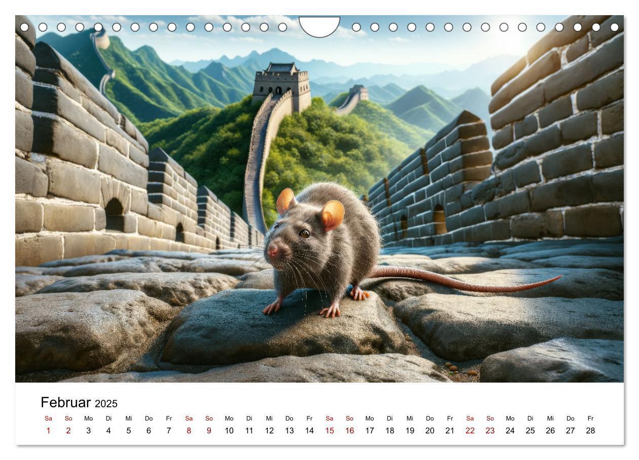 Bild: 9783383787539 | Ratten auf Reisen (Wandkalender 2025 DIN A4 quer), CALVENDO...