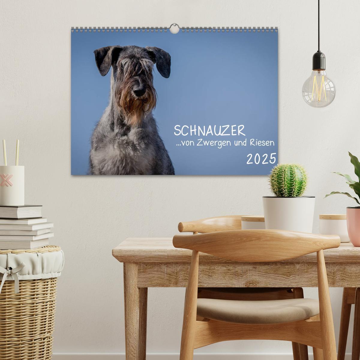 Bild: 9783435424535 | Schnauzer... von Zwergen und Riesen 2025 (Wandkalender 2025 DIN A3...