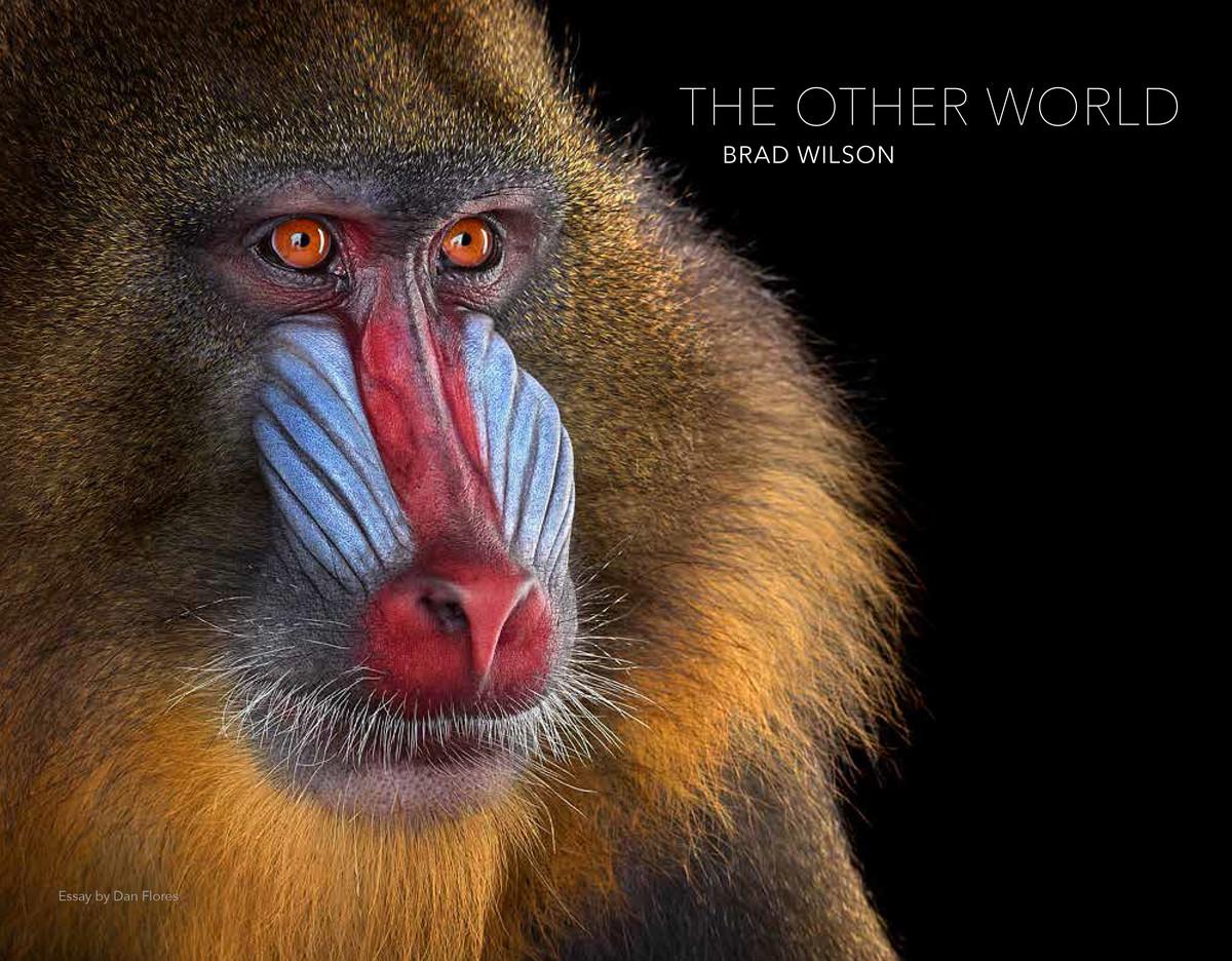 Cover: 9788862087476 | Brad Wilson: The Other World | Animal Portraits | Dan Flores | Buch