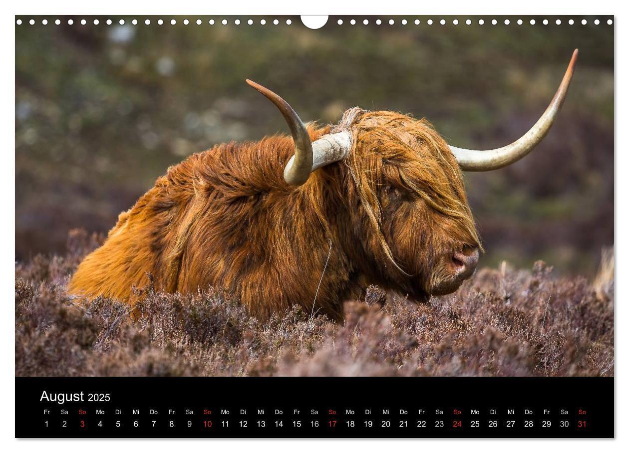 Bild: 9783435568772 | Schottland - Die wundervolle Isle of Skye (Wandkalender 2025 DIN A3...