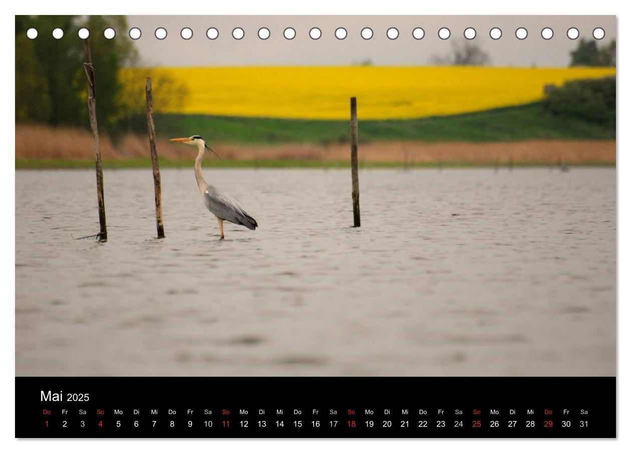 Bild: 9783435634903 | Wasserwandern in Mecklenburg-Vorpommern (Tischkalender 2025 DIN A5...