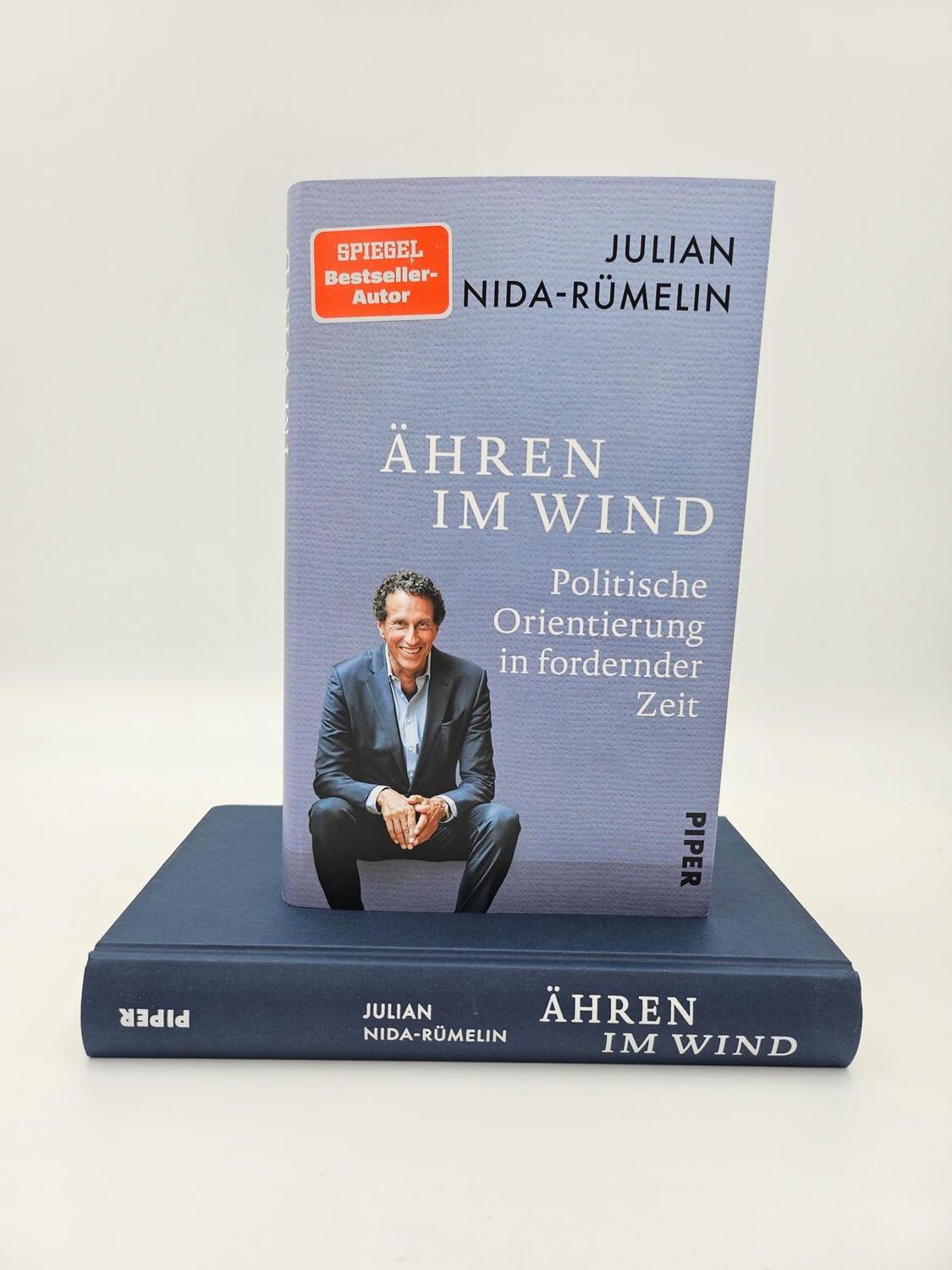 Bild: 9783492072939 | Ähren im Wind | Politische Orientierung in fordernder Zeit | Buch