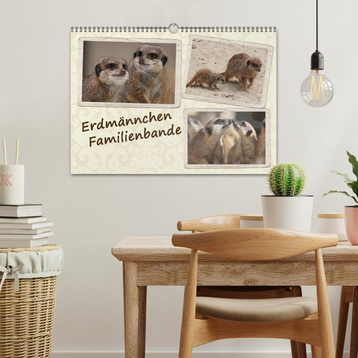 Bild: 9783435789436 | Erdmännchen Familienbande (Wandkalender 2025 DIN A3 quer), CALVENDO...