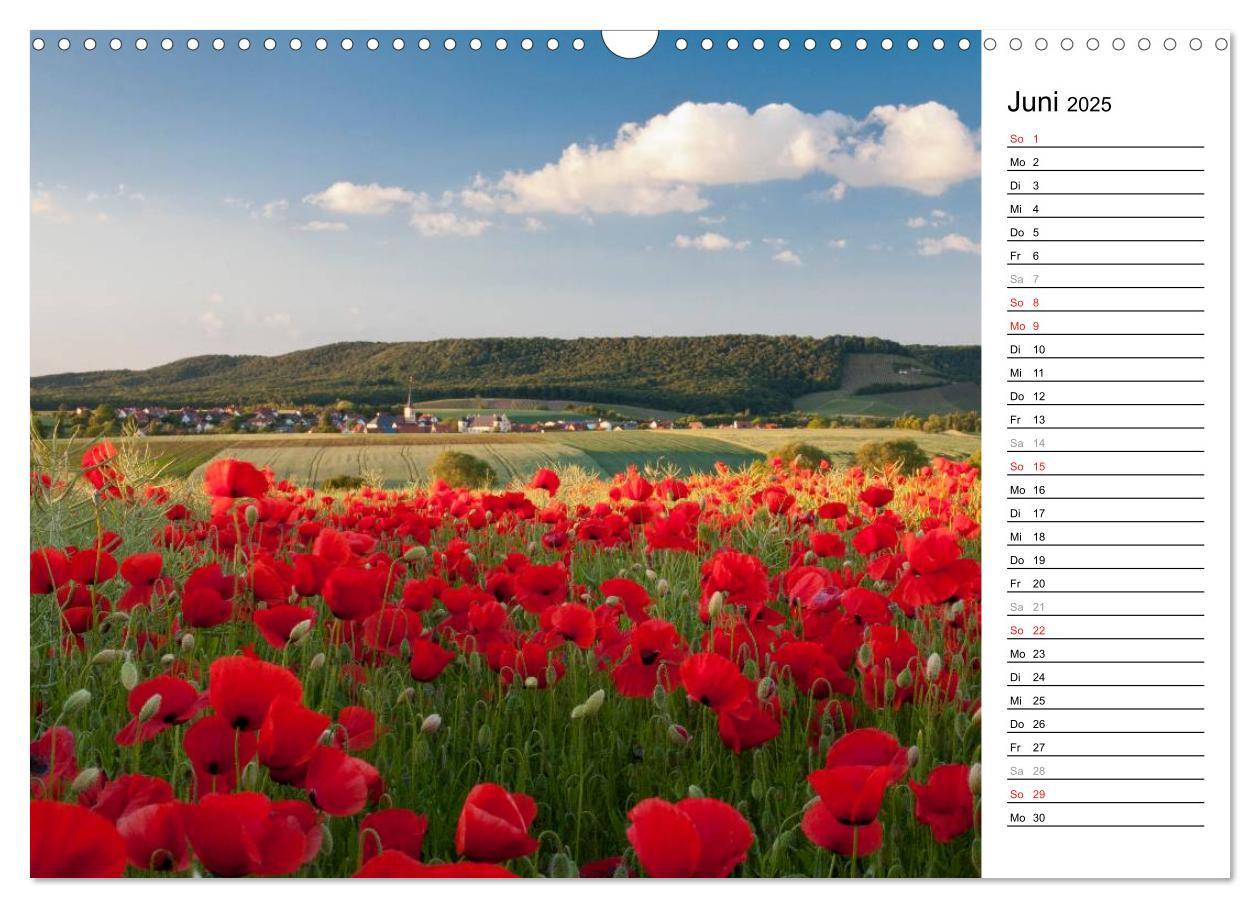 Bild: 9783435542062 | DER STEIGERWALD - Impressionen einer Landschaft (Wandkalender 2025...