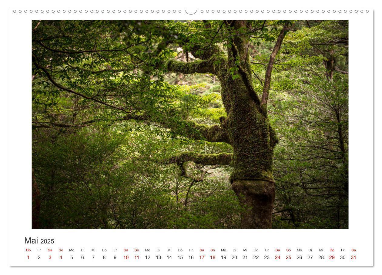 Bild: 9783435344338 | Yakushima - Japans Weltnaturerbe (Wandkalender 2025 DIN A2 quer),...