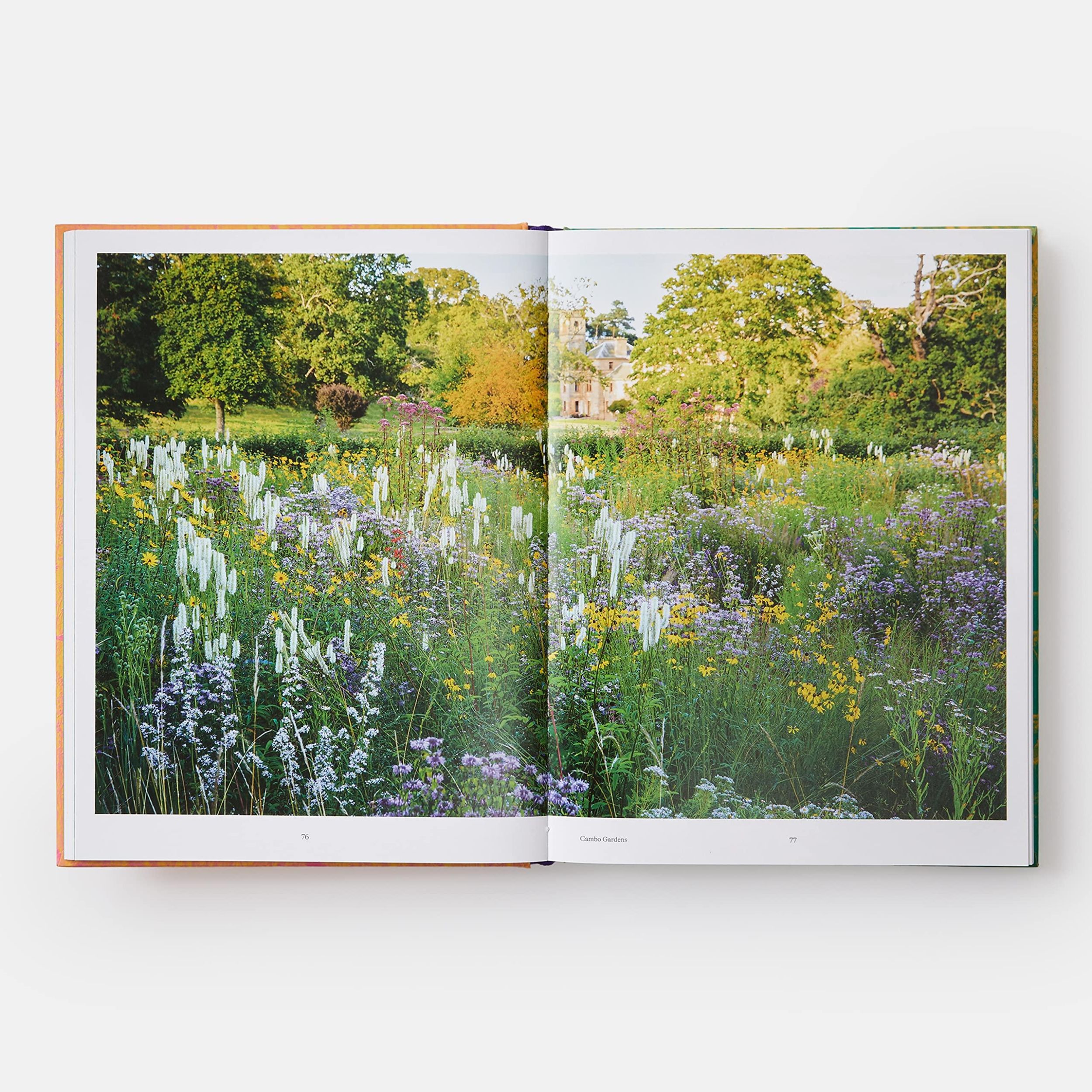 Bild: 9781838661052 | Wild | The Naturalistic Garden | Noel Kingsbury | Buch | Phaidon Press