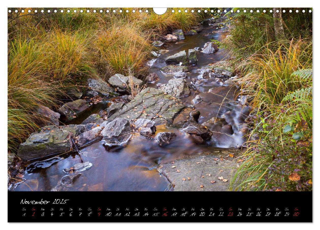 Bild: 9783435518722 | Hochmoor Hohes Venn (Wandkalender 2025 DIN A3 quer), CALVENDO...