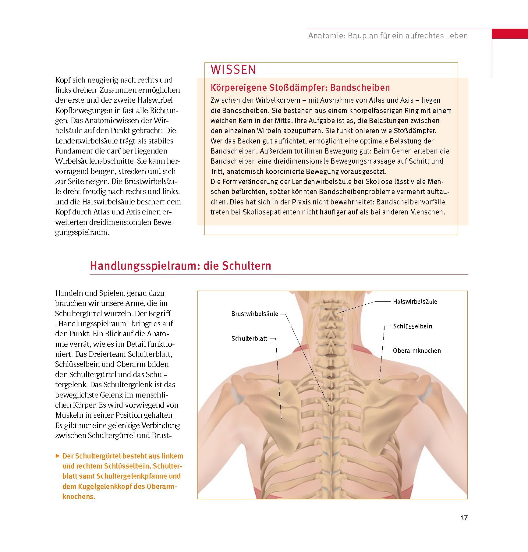 Bild: 9783432120034 | Skoliose - Aufrecht durch Bewegung | Christian Larsen (u. a.) | Buch