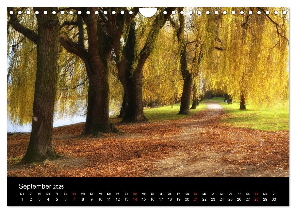 Bild: 9783435753321 | Ingelheim und Umgebung (Wandkalender 2025 DIN A4 quer), CALVENDO...