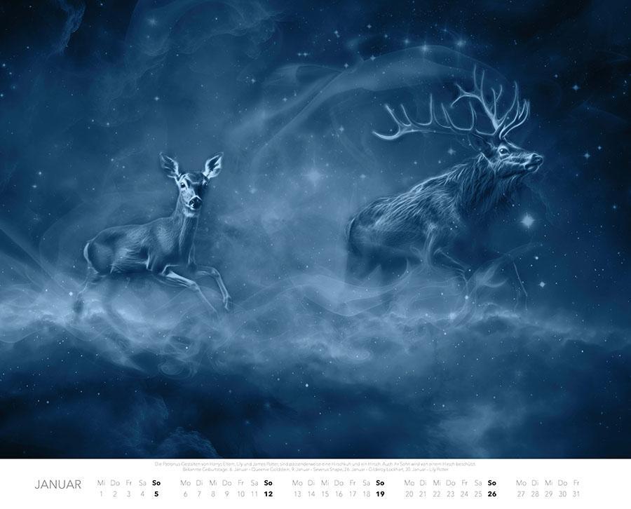 Bild: 9783966647984 | Patronus Kalender für Potterheads 2025 XXL-Wandkalender | Ferreira