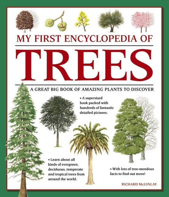 Cover: 9781861478252 | My First Encyclopedia of Trees (giant Size) | Mcginlay Richard | Buch