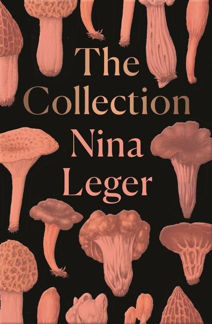 Cover: 9781846276866 | The Collection | Nina Leger | Taschenbuch | Kartoniert / Broschiert