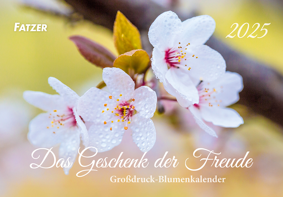 Cover: 9783866038165 | Das Geschenk der Freude 2025 | Kalender | 13 S. | Deutsch | 2025