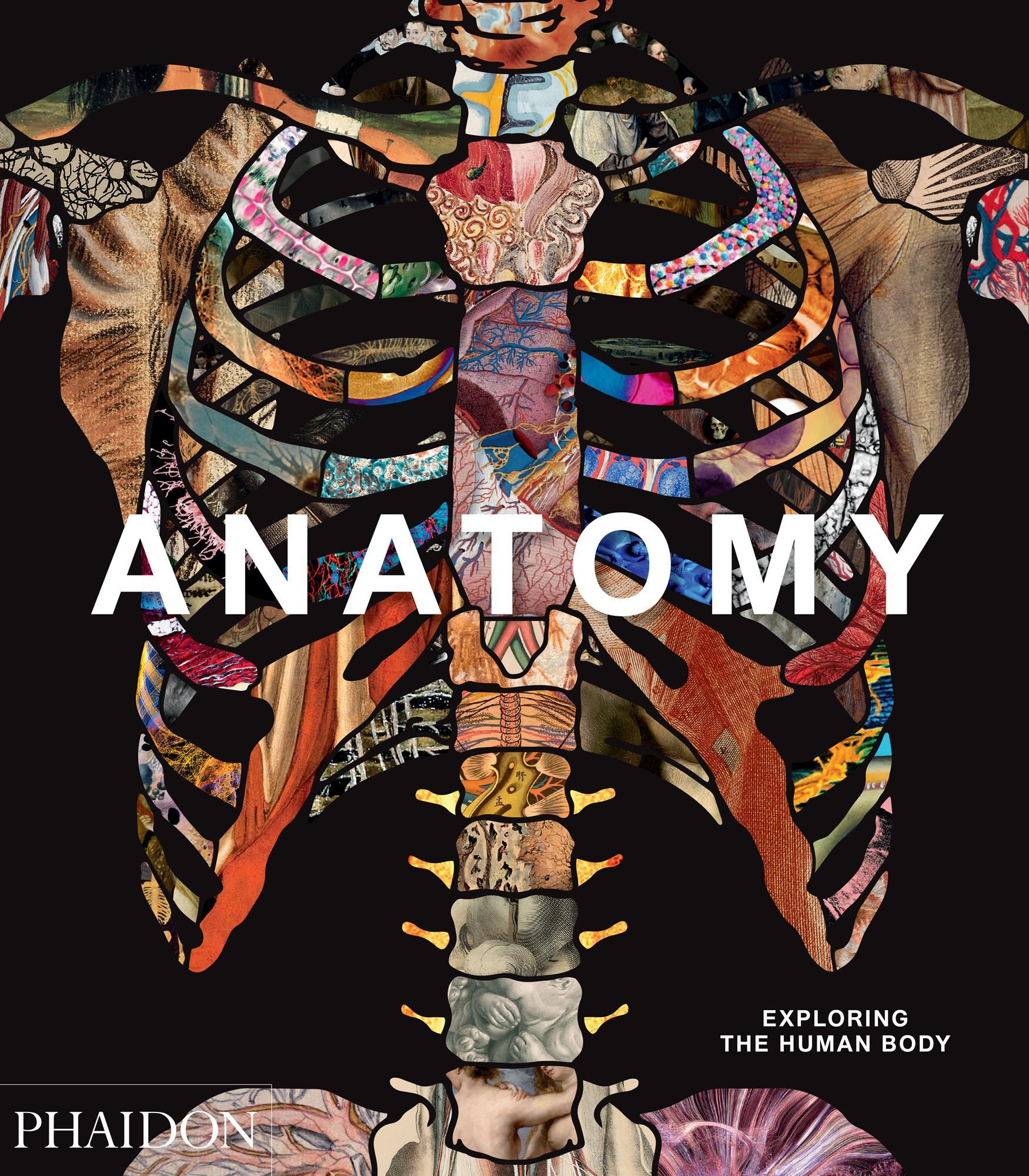 Cover: 9780714879888 | Anatomy: Exploring the Human Body | Phaidon Press | Buch | 344 S.