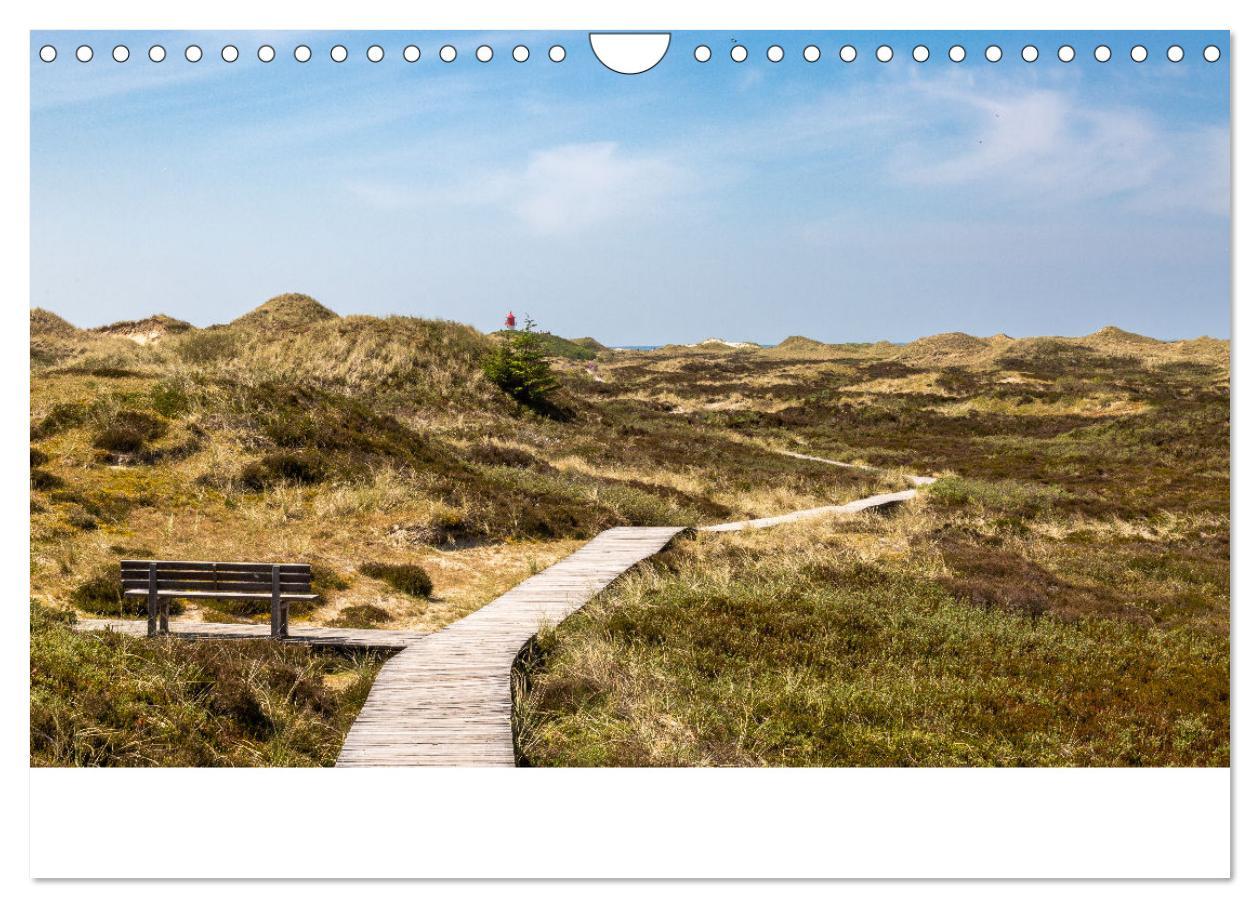 Bild: 9783383861031 | Amrum - Das Paradies in der Nordsee (Wandkalender 2025 DIN A4...