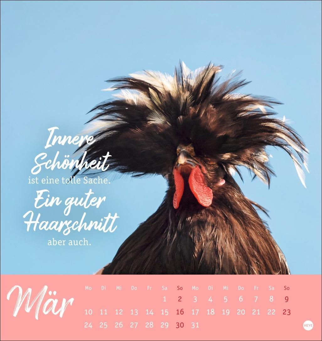 Bild: 9783756408573 | Hühner Postkartenkalender 2025 - Ach, du verrücktes Huhn! | Kalender