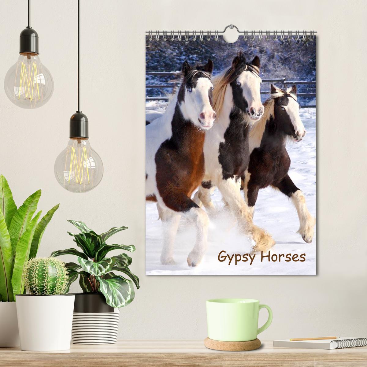 Bild: 9783457082676 | Gypsy's (Wandkalender 2025 DIN A4 hoch), CALVENDO Monatskalender