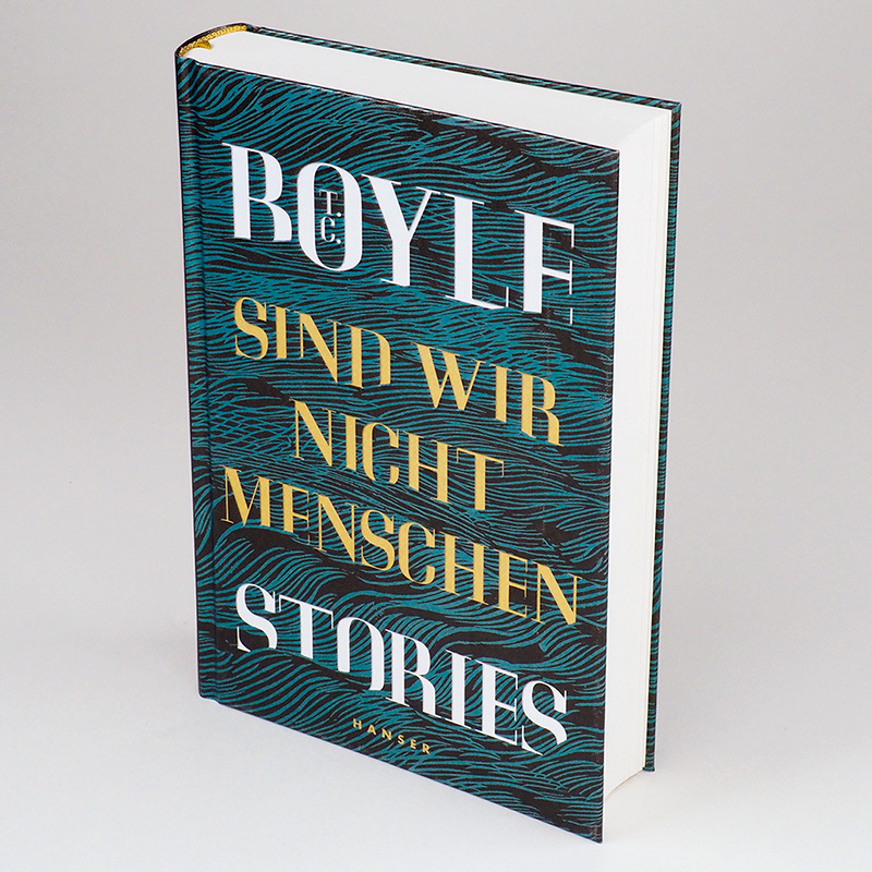 Bild: 9783446265585 | Sind wir nicht Menschen | Stories | T. C. Boyle | Buch | 400 S. | 2020