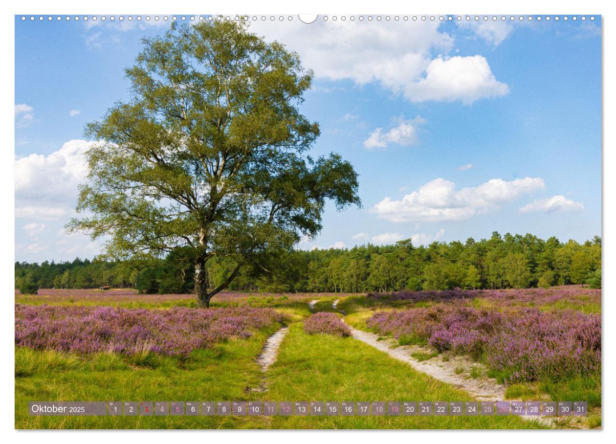 Bild: 9783383831324 | Im Blütenrausch der Lüneburger Heide (Wandkalender 2025 DIN A2...