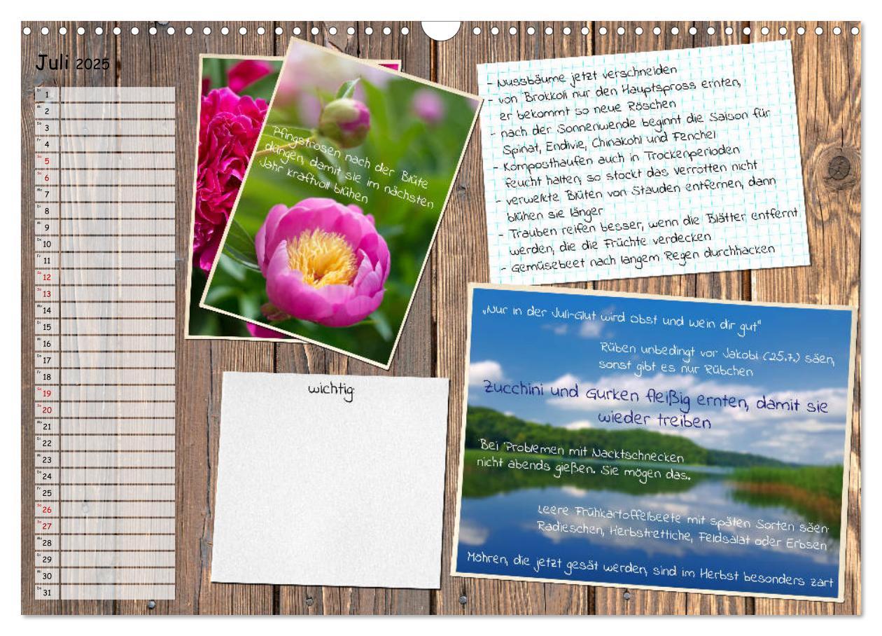 Bild: 9783435132522 | Was ist noch im Garten zu tun? (Wandkalender 2025 DIN A3 quer),...