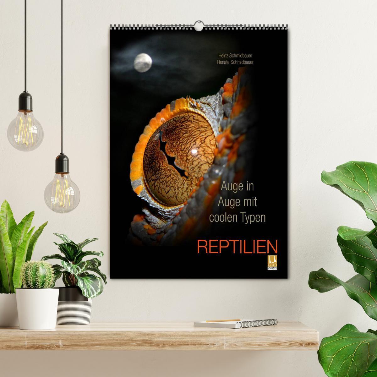 Bild: 9783457015315 | Auge in Auge mit coolen Typen - REPTILIEN (Wandkalender 2025 DIN A2...