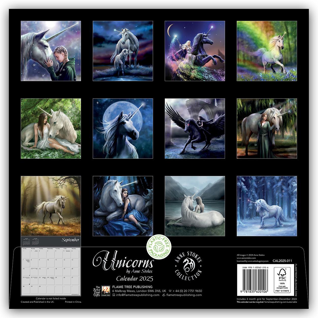 Rückseite: 9781835620106 | Unicorns by Anne Stokes Wall Calendar 2025 (Art Calendar) | Publishing