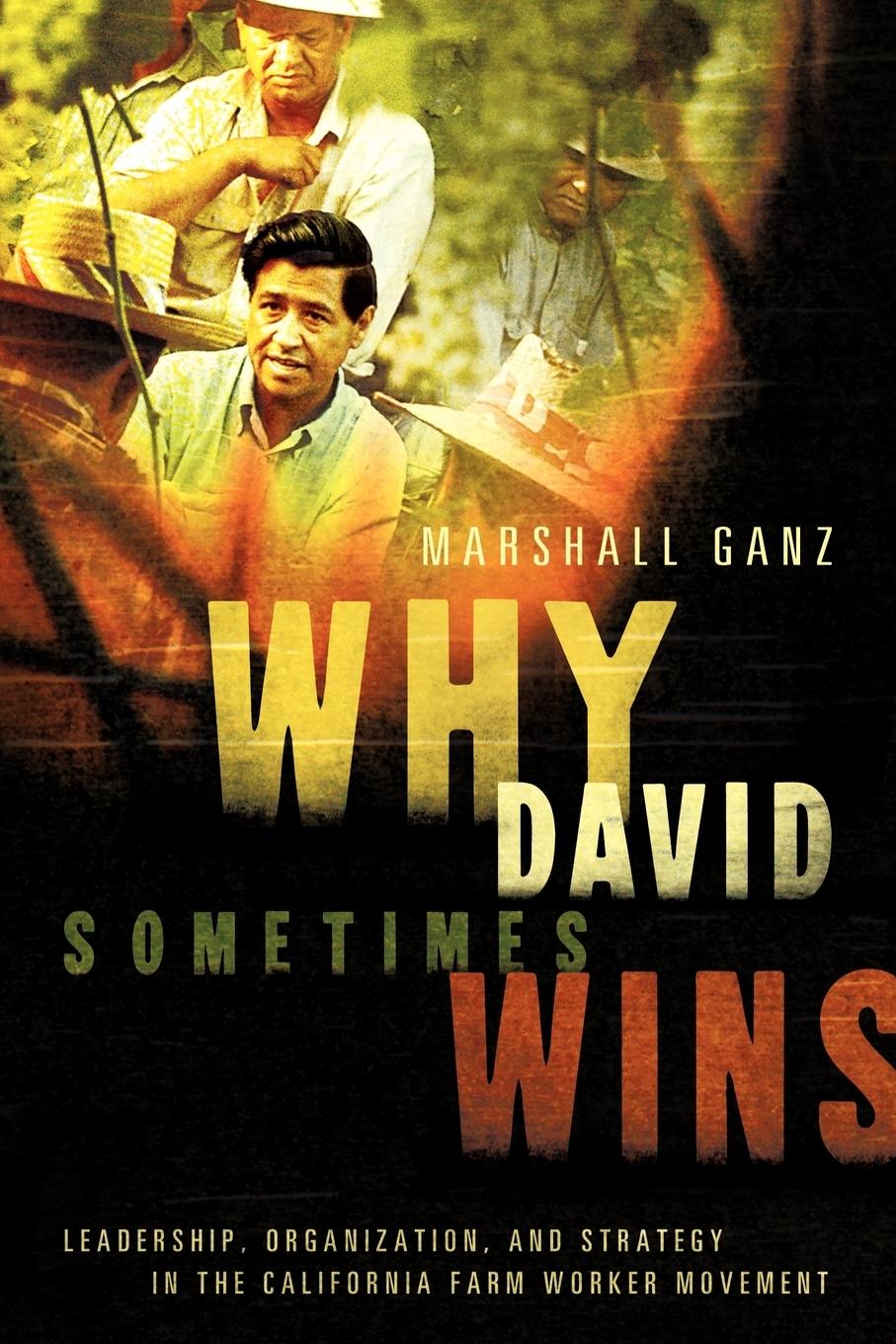 Cover: 9780199757855 | Why David Sometimes Wins | Marshall Ganz | Taschenbuch | Englisch