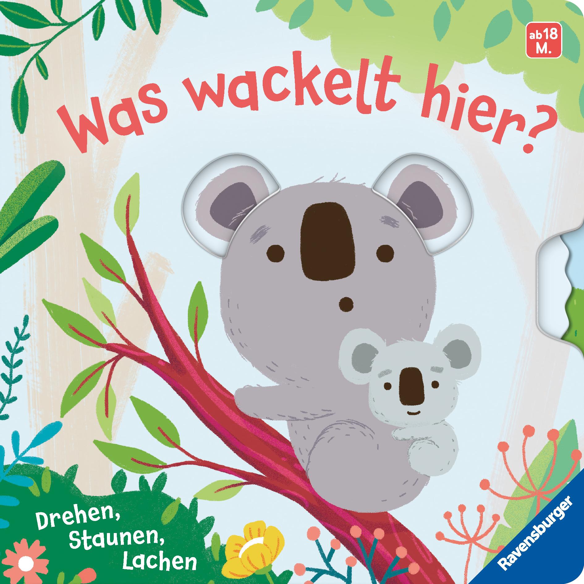 Cover: 9783473420704 | Was wackelt hier? | Tiny and Tim Limited | Buch | 12 S. | Deutsch