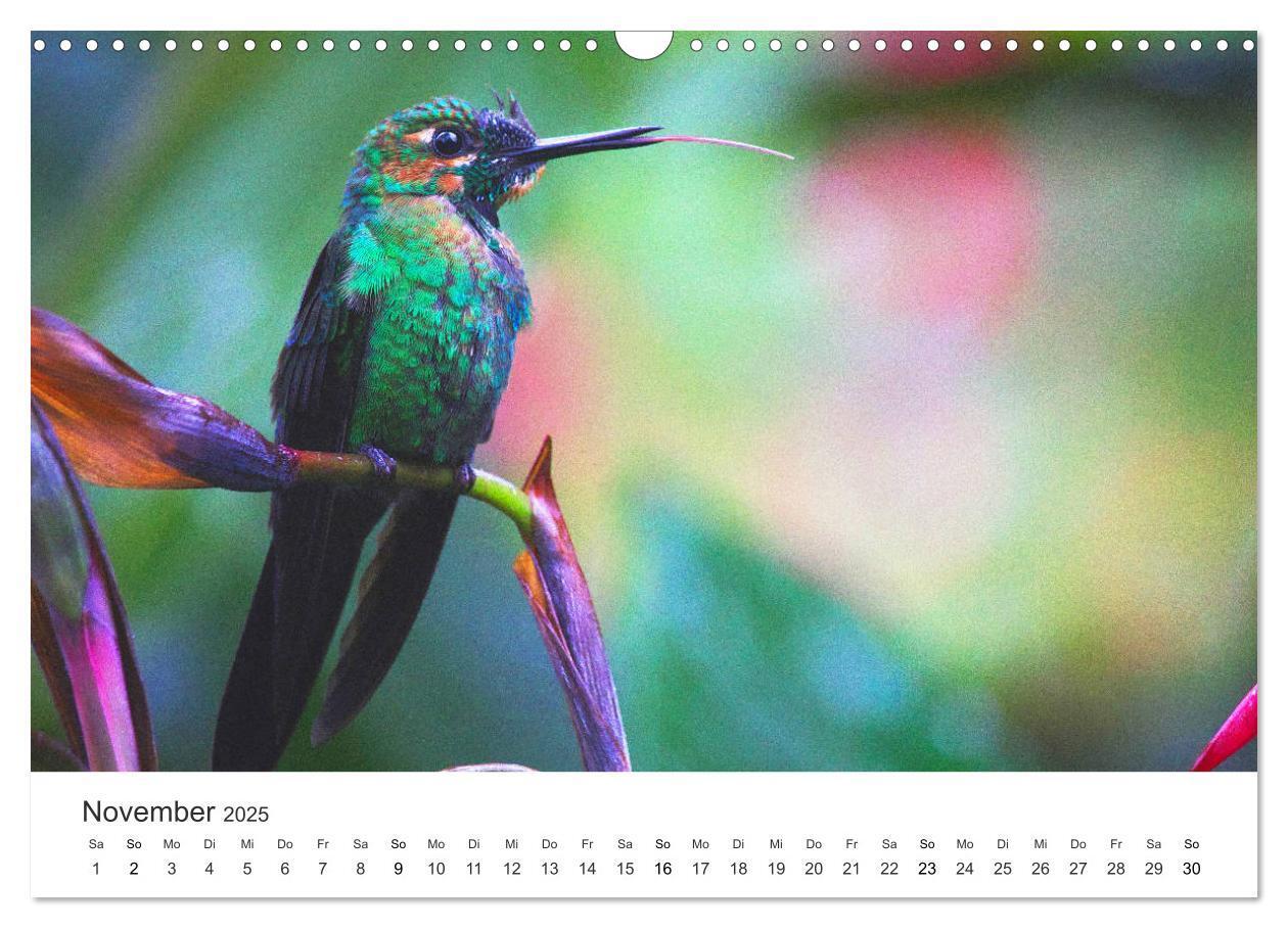 Bild: 9783435153534 | Costa Rica - exotische Tierwelt und unberührte Natur (Wandkalender...