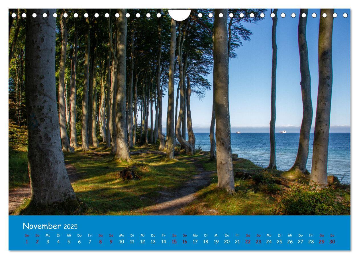 Bild: 9783383841972 | Seeheilbad Heiligendamm (Wandkalender 2025 DIN A4 quer), CALVENDO...