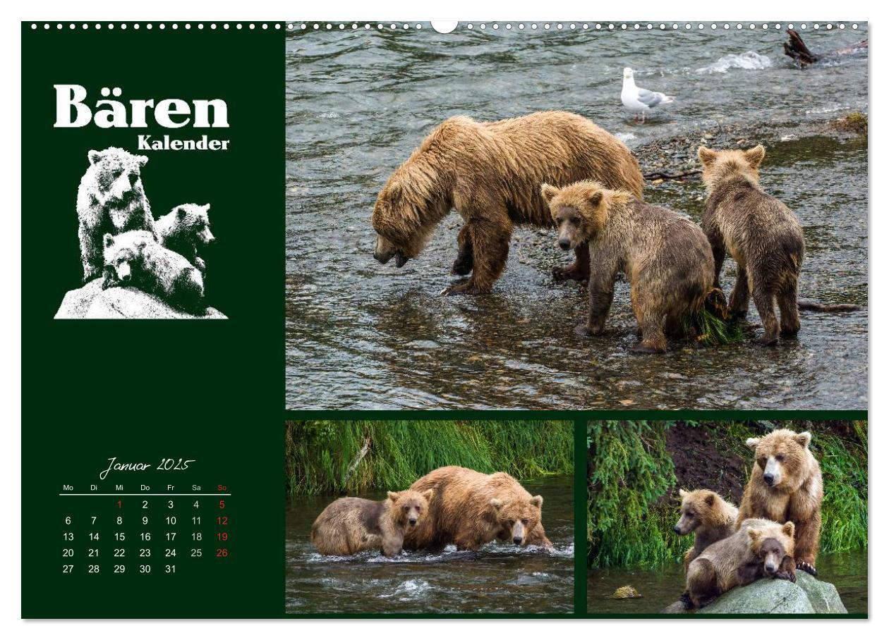 Bild: 9783435709519 | Bärenkalender (Wandkalender 2025 DIN A2 quer), CALVENDO Monatskalender