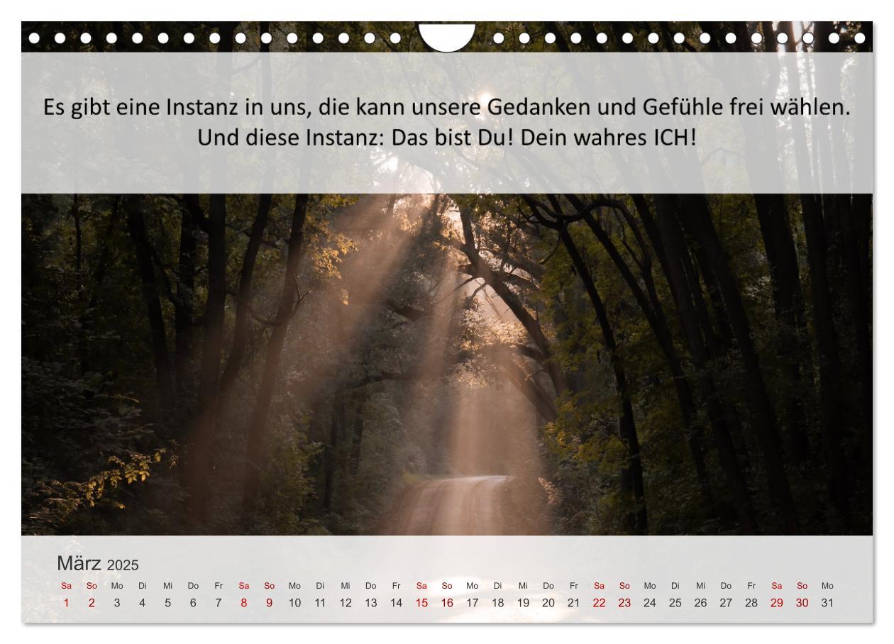 Bild: 9783435020232 | Motivationssprüche Erfolgsweg (Wandkalender 2025 DIN A4 quer),...