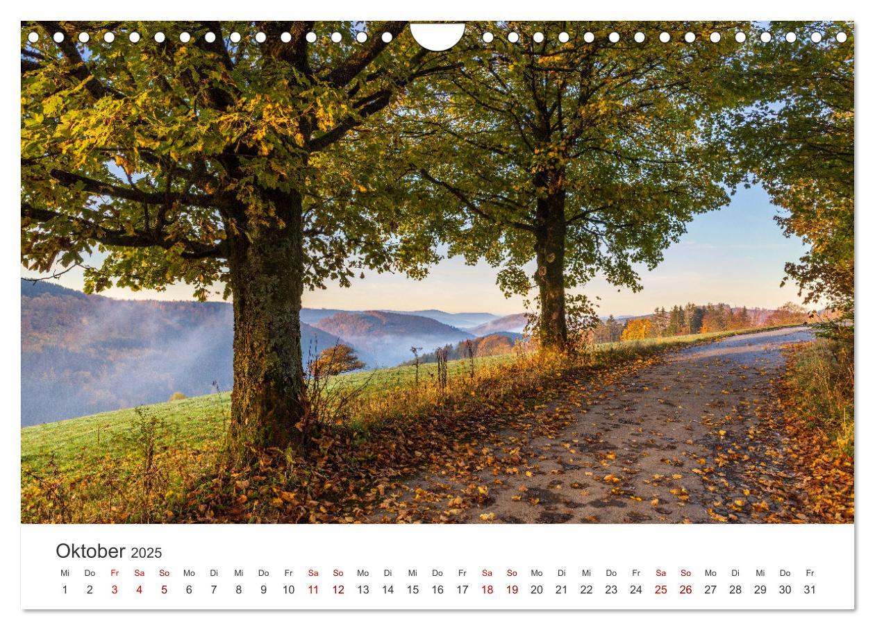 Bild: 9783435019083 | Das Sauerland im Wechsel der Jahreszeiten (Wandkalender 2025 DIN A4...