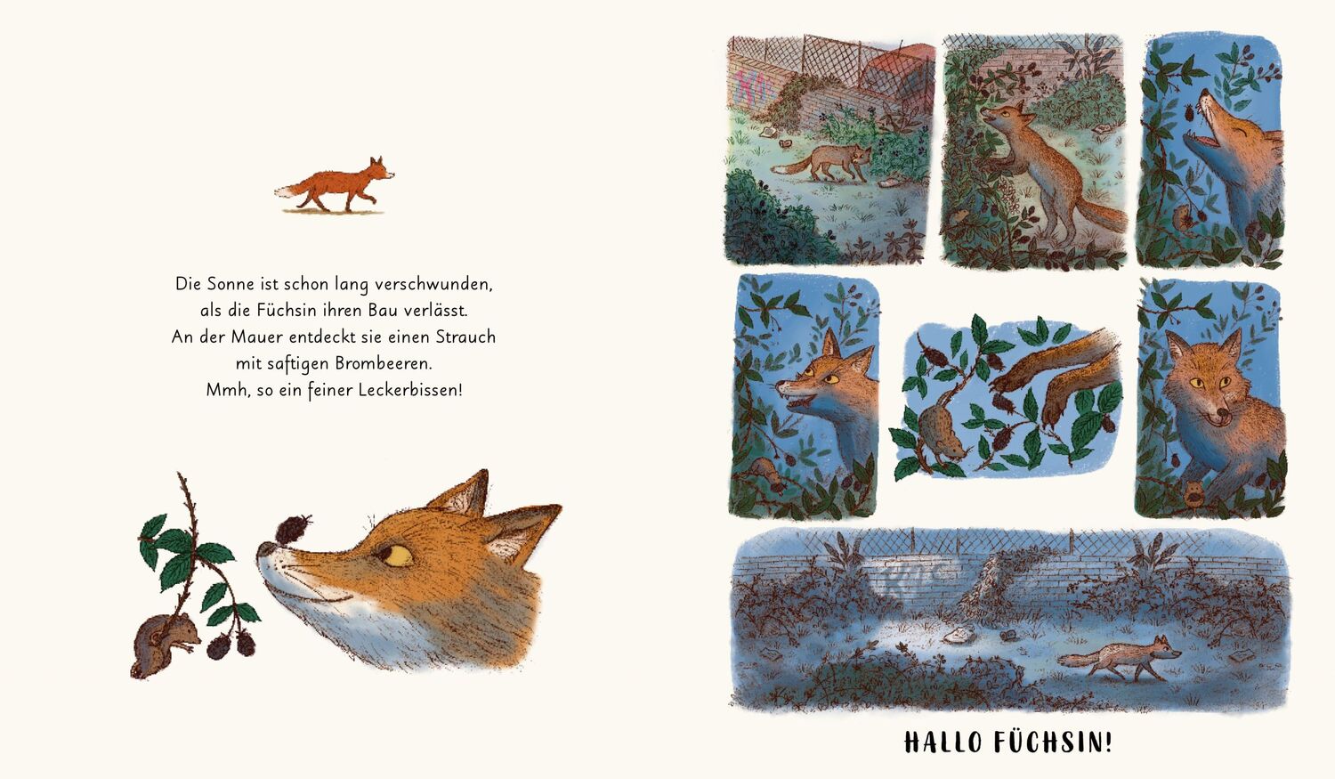 Bild: 9783791375250 | Wunder der Natur. Das Gute-Nacht-Buch | Rachel Williams | Buch | 32 S.