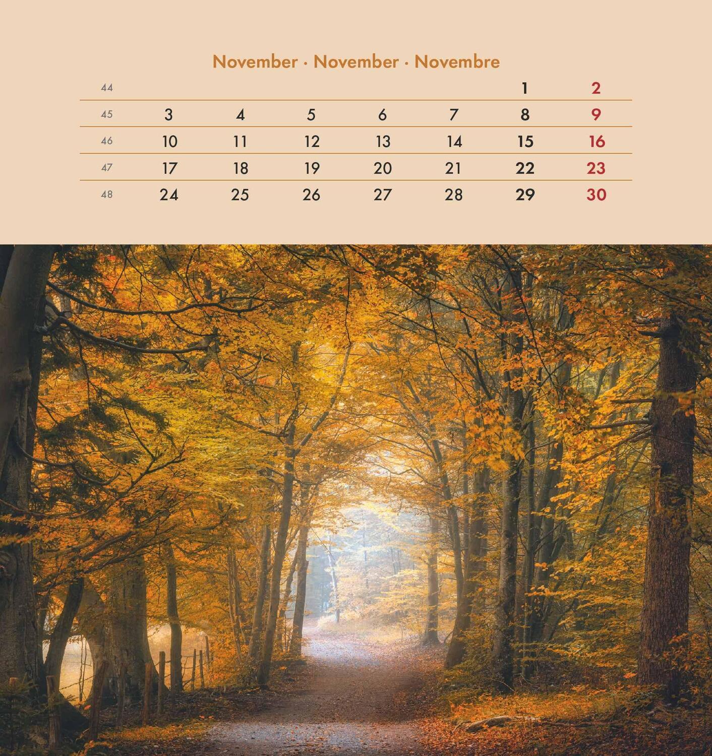 Bild: 4251732342326 | Auszeit für die Seele 2025 - Postkartenkalender 16x17 cm - zum...