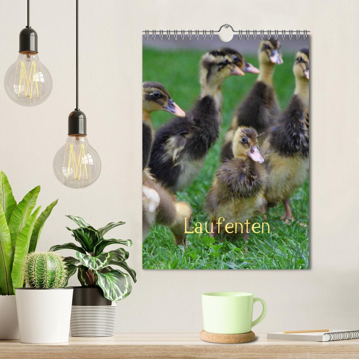 Bild: 9783457089996 | Laufenten (Wandkalender 2025 DIN A4 hoch), CALVENDO Monatskalender