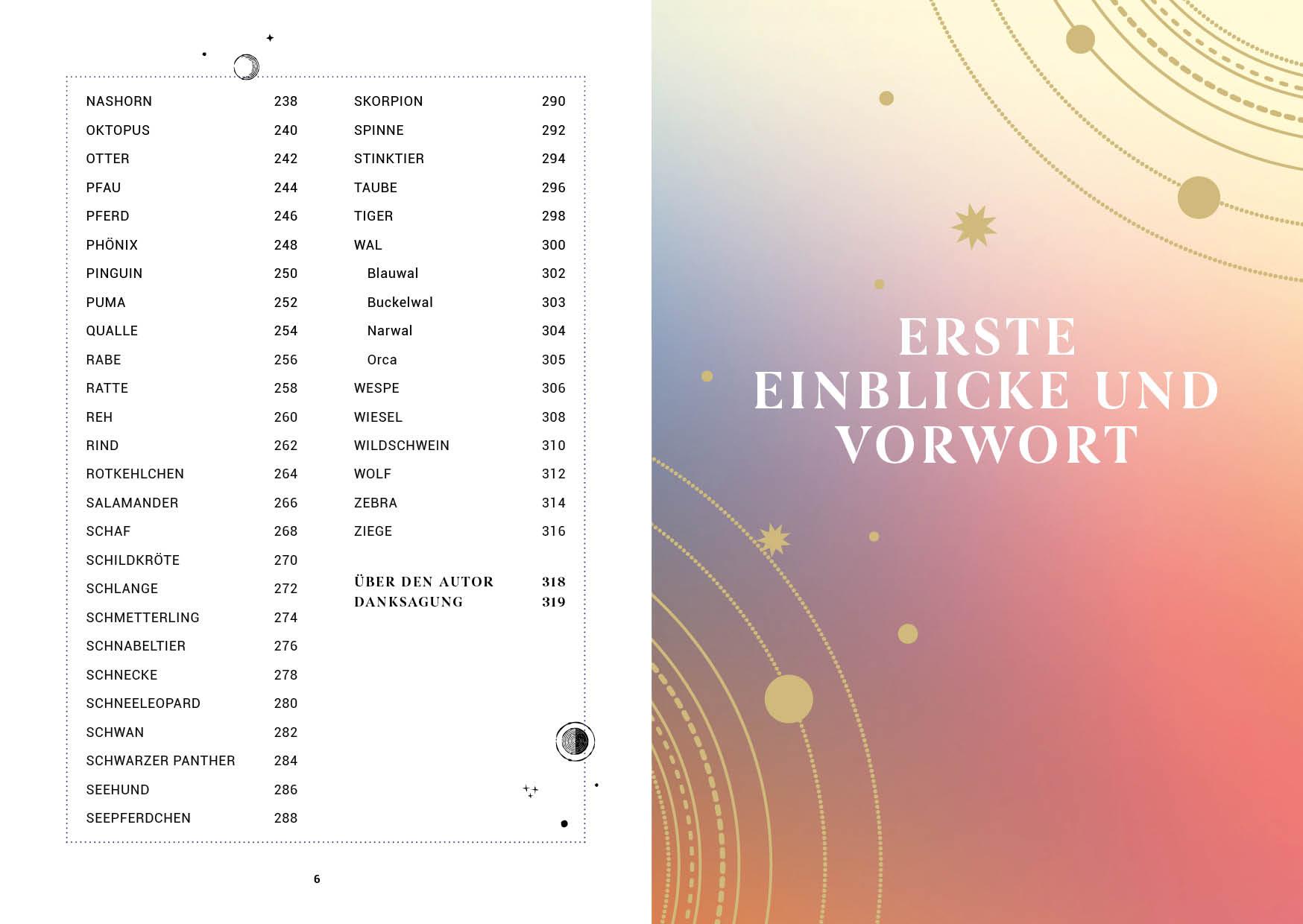 Bild: 9783745913552 | Praxisbuch Schamanische Krafttiere - Entdecke deine Seelenbegleiter