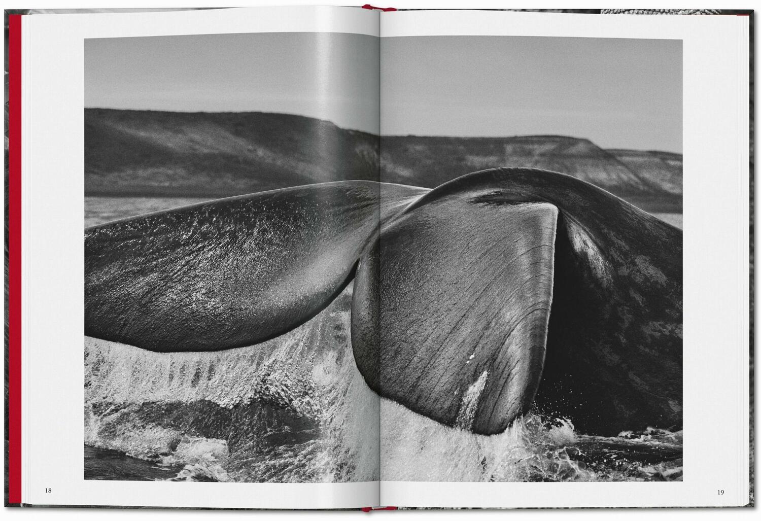 Bild: 9783754400616 | Sebastião Salgado. Genesis | Taschen | Buch | 192 S. | Deutsch | 2024