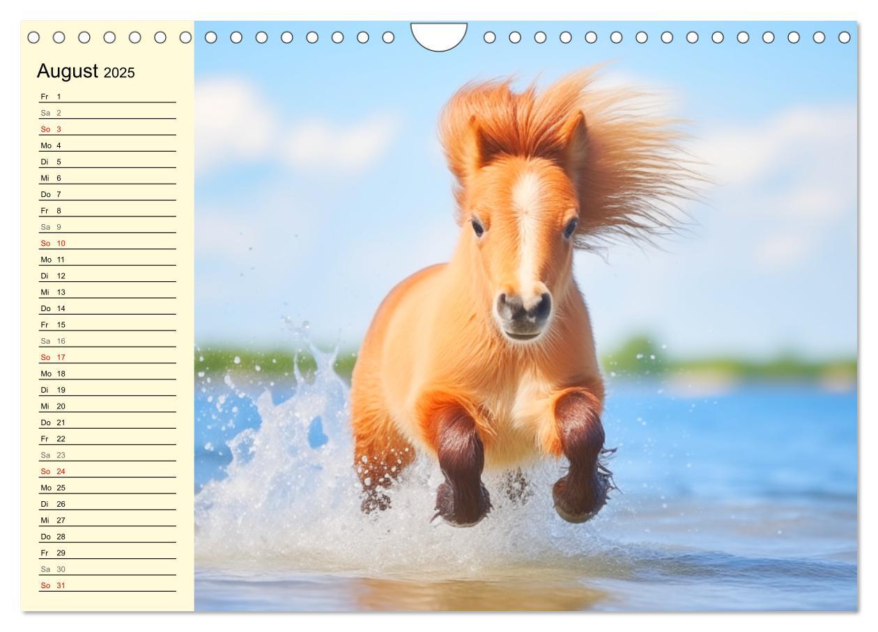 Bild: 9783435011605 | Kleine Pferde. Mini-Ponys zum verlieben (Wandkalender 2025 DIN A4...