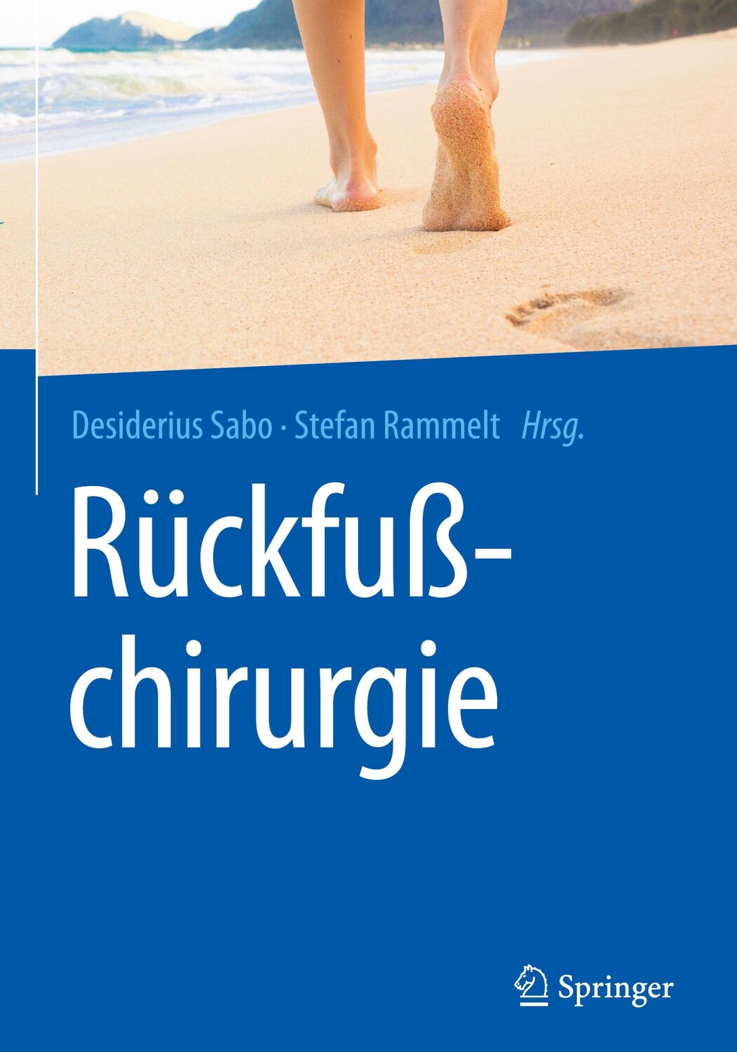 Cover: 9783662553428 | Rückfußchirurgie | Stefan Rammelt (u. a.) | Buch | xvi | Deutsch